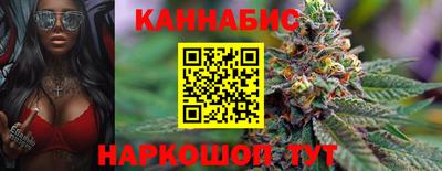 наркотики Кингисепп
