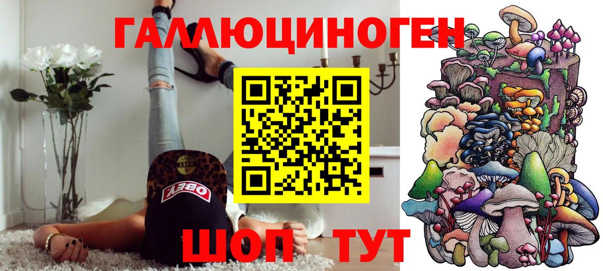 Галлюциногенные грибы Cubensis  Псилоцибиновые грибы MAGIC MUSHROOMS  как найти наркотики  Вход с VPN  Кудрово 